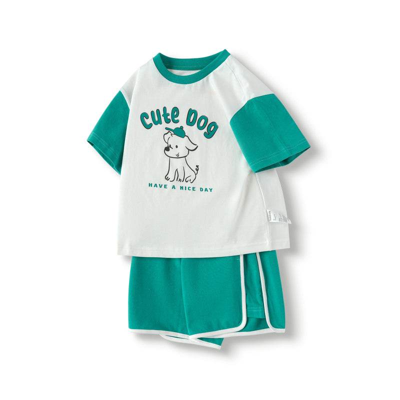 Комплект поло+шорты для мальчиков Balabala - Boxette Shop